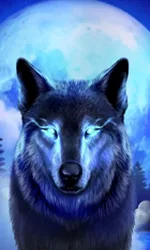 Dark Wolf